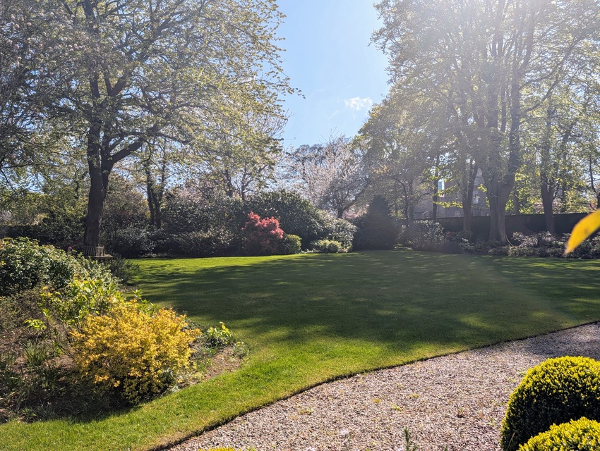 Chanonry Gardens