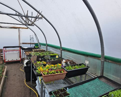 Tullibody Community Garden