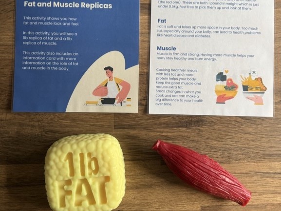 The difference between fat and muscle
