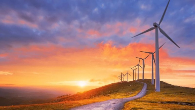 NEO NEXT+ Postgraduate Scholarship