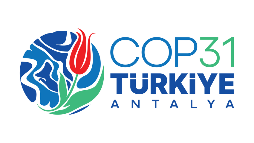 COP31 – Call for Expressions of Interest