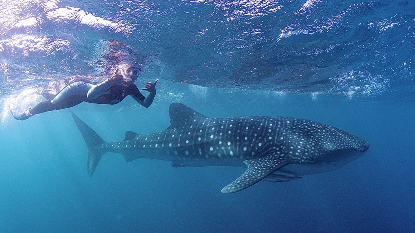 Have you signed up to our mailing list yet?