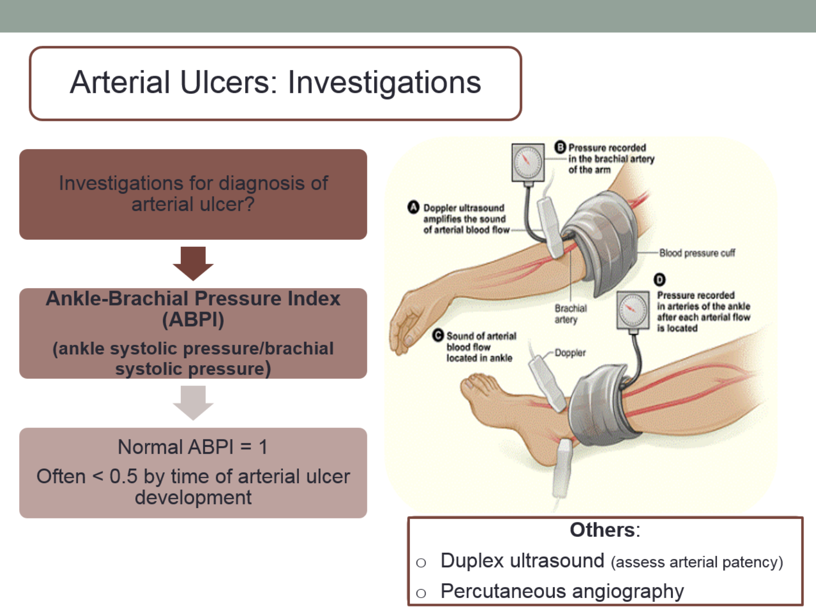 Leg Ulcers And Pressure Sores 3 Leg Ulcers And Pressure Sores 3