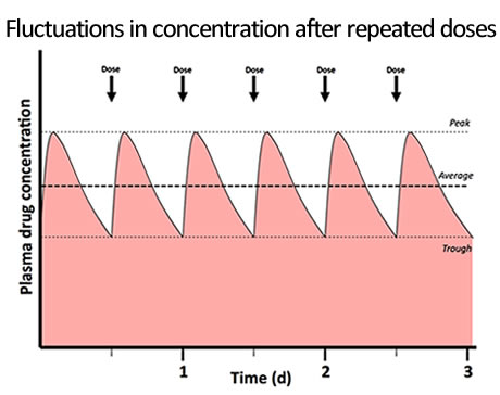 Steady State Graph