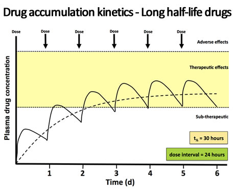 Pharmacokinetics VI