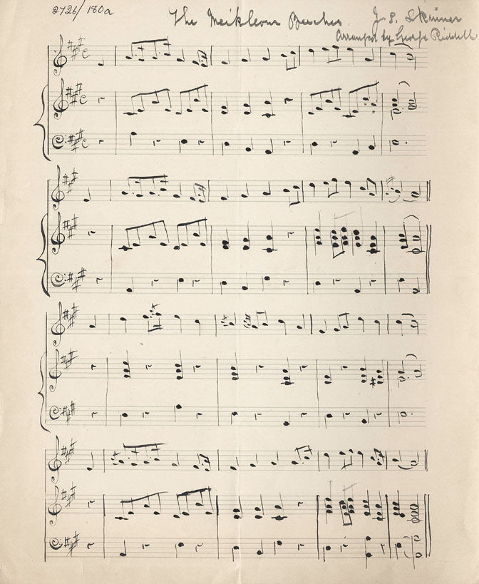 The Meikleour Beeches
