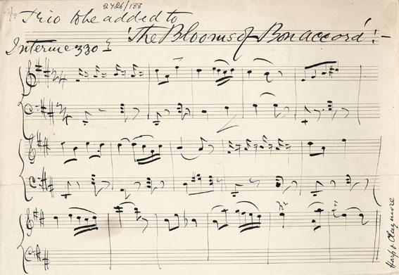 Trio for the Blooms of Bon Accord