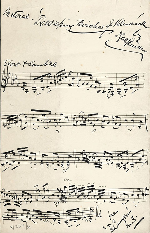 The Weeping Birches of Kilmorack