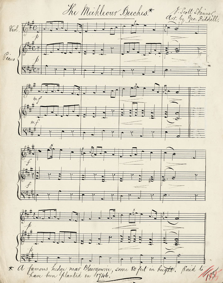 The Meikleour Beeches