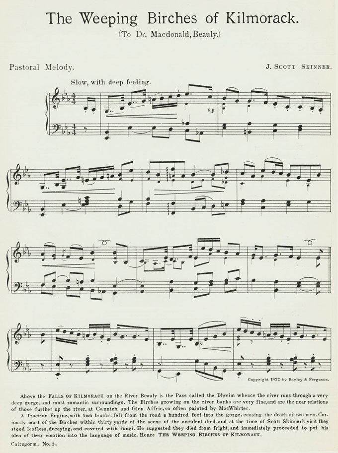 The Weeping Birches of Kilmorack