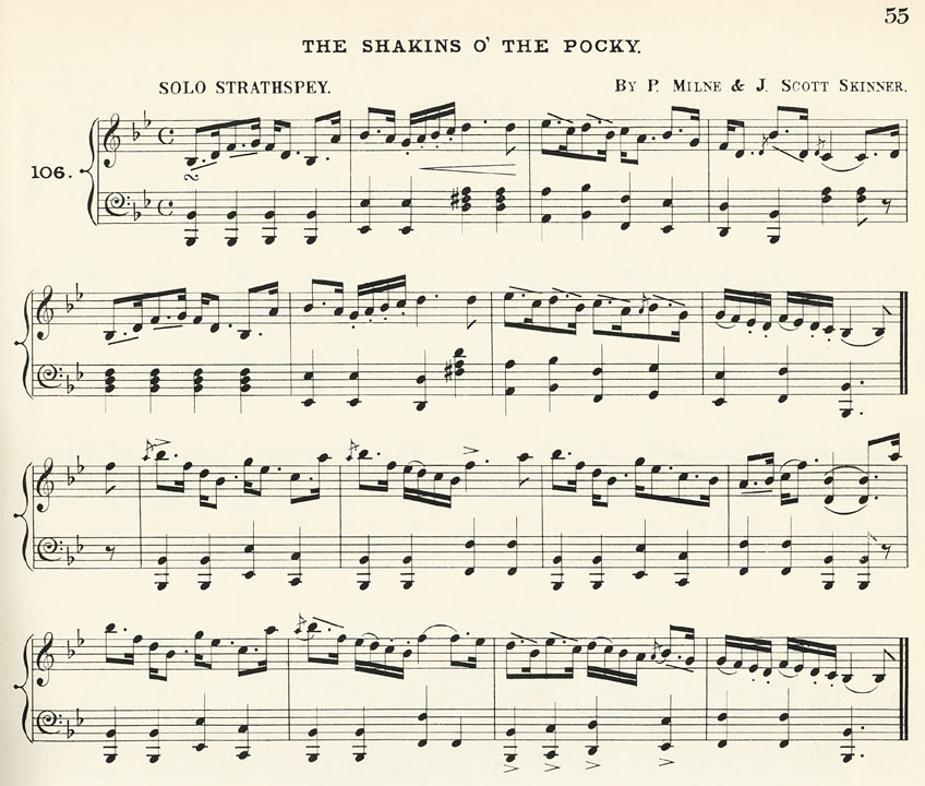 THe Shakins o' the Pocky