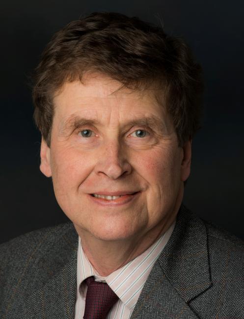 Professor DAVID HEALD