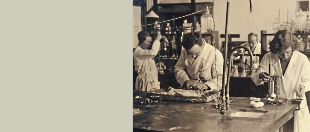 Scientists in a Rowett lab in the 1930s