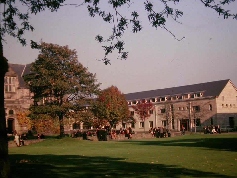 water reflection of tree at daytime