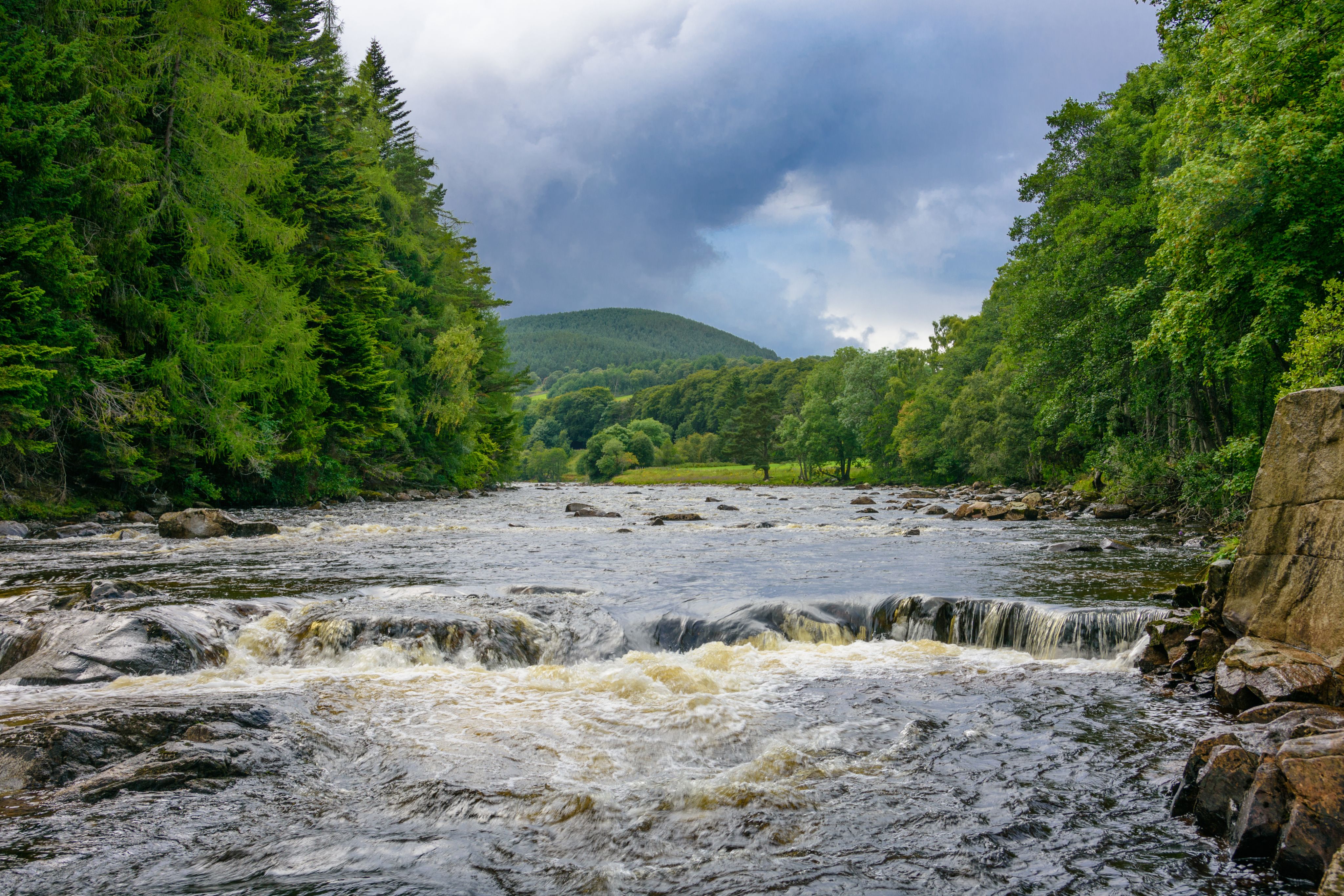 A flowing river with green trees on either bank