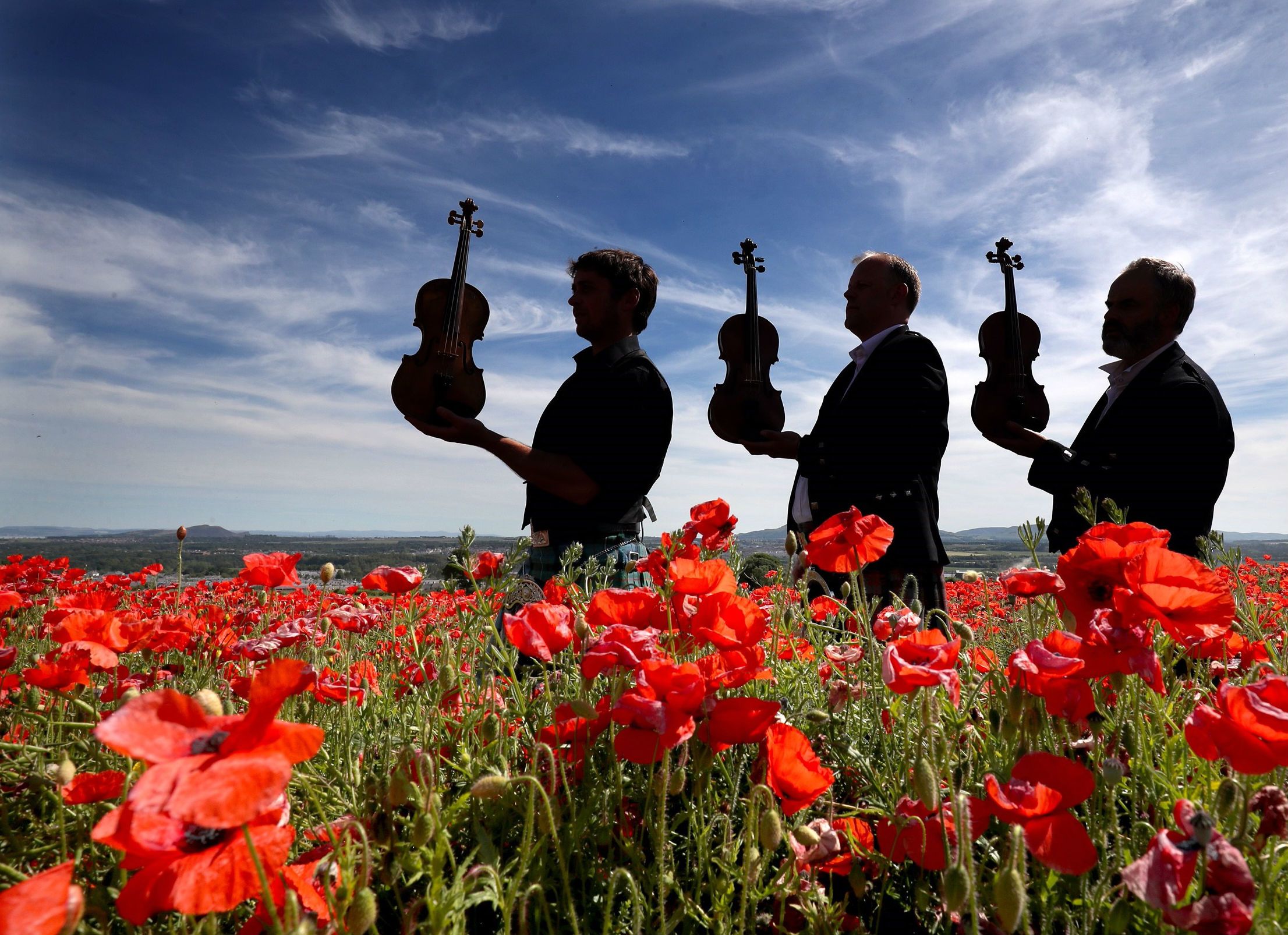 Three musicians in a poppy field