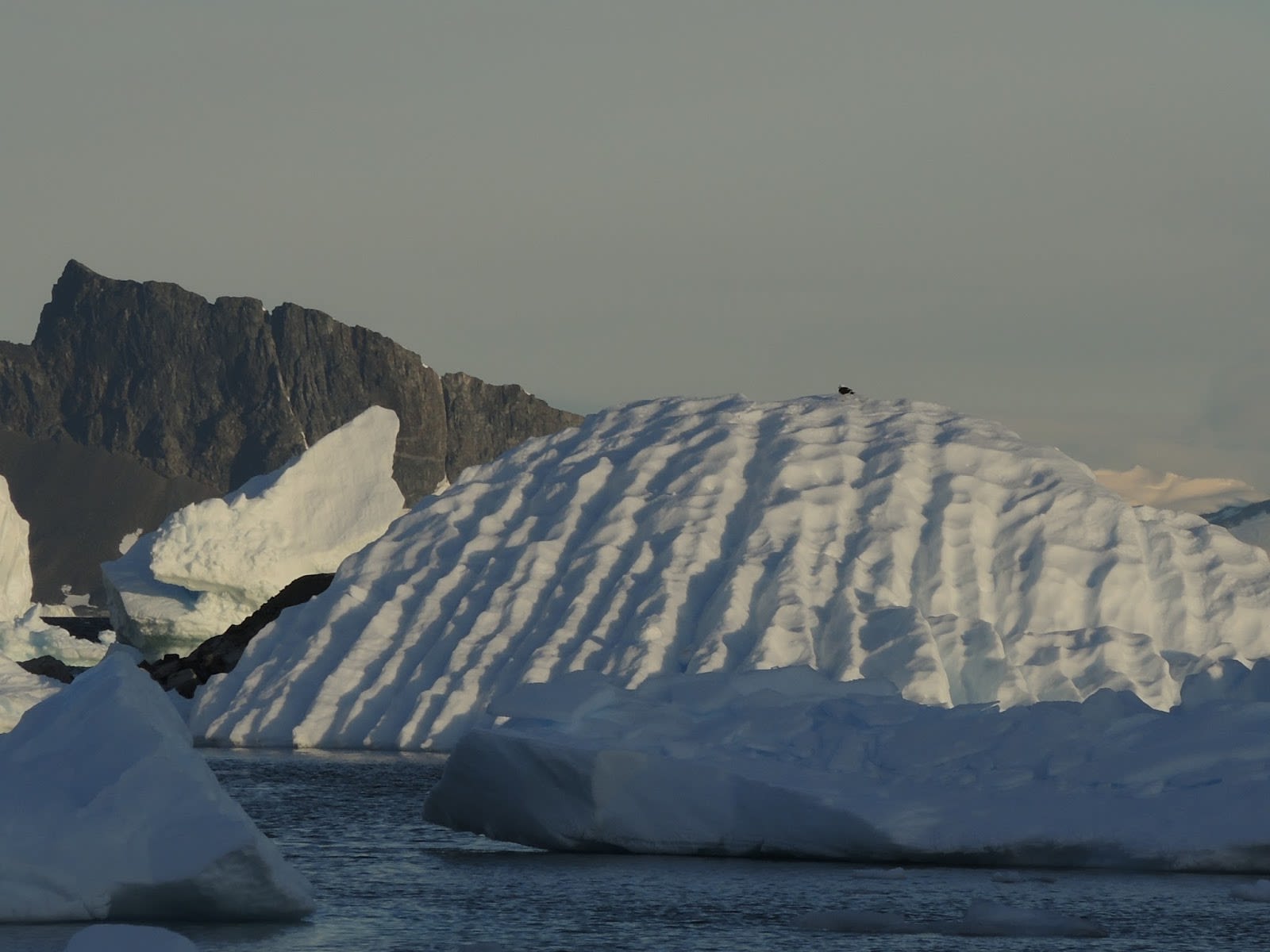 An iceberg with scratch marks from the sea bed