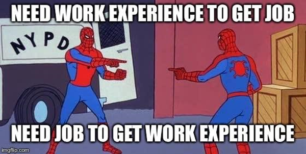 a meme about work experience