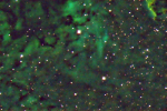 NGC7000 Cygnus Wall/North America Nebula