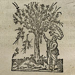 Dictionarium Latino-Graecum