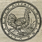 Algebrae compendiosa facili'sque descriptio, qua depromuntur magna arithmetices miracula.