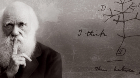 charles jourdan wallet